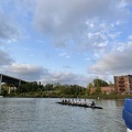 IMG 4313